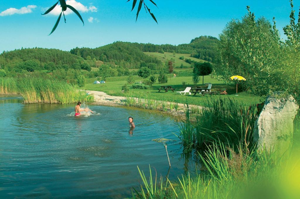 Schreiner'S - Das Waldviertel Haus Laimbach am Ostrong Eksteriør billede
